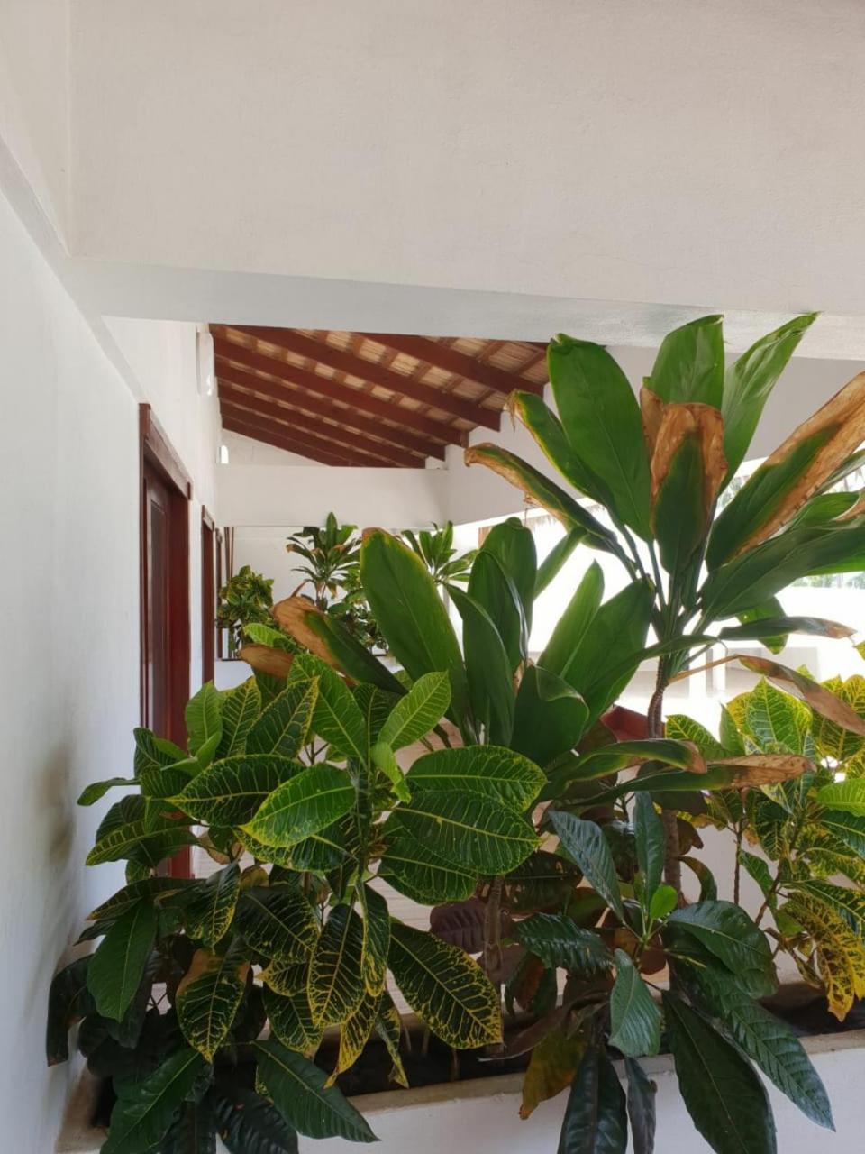 Oasi Encantada - Beach Resort Barahona 외부 사진