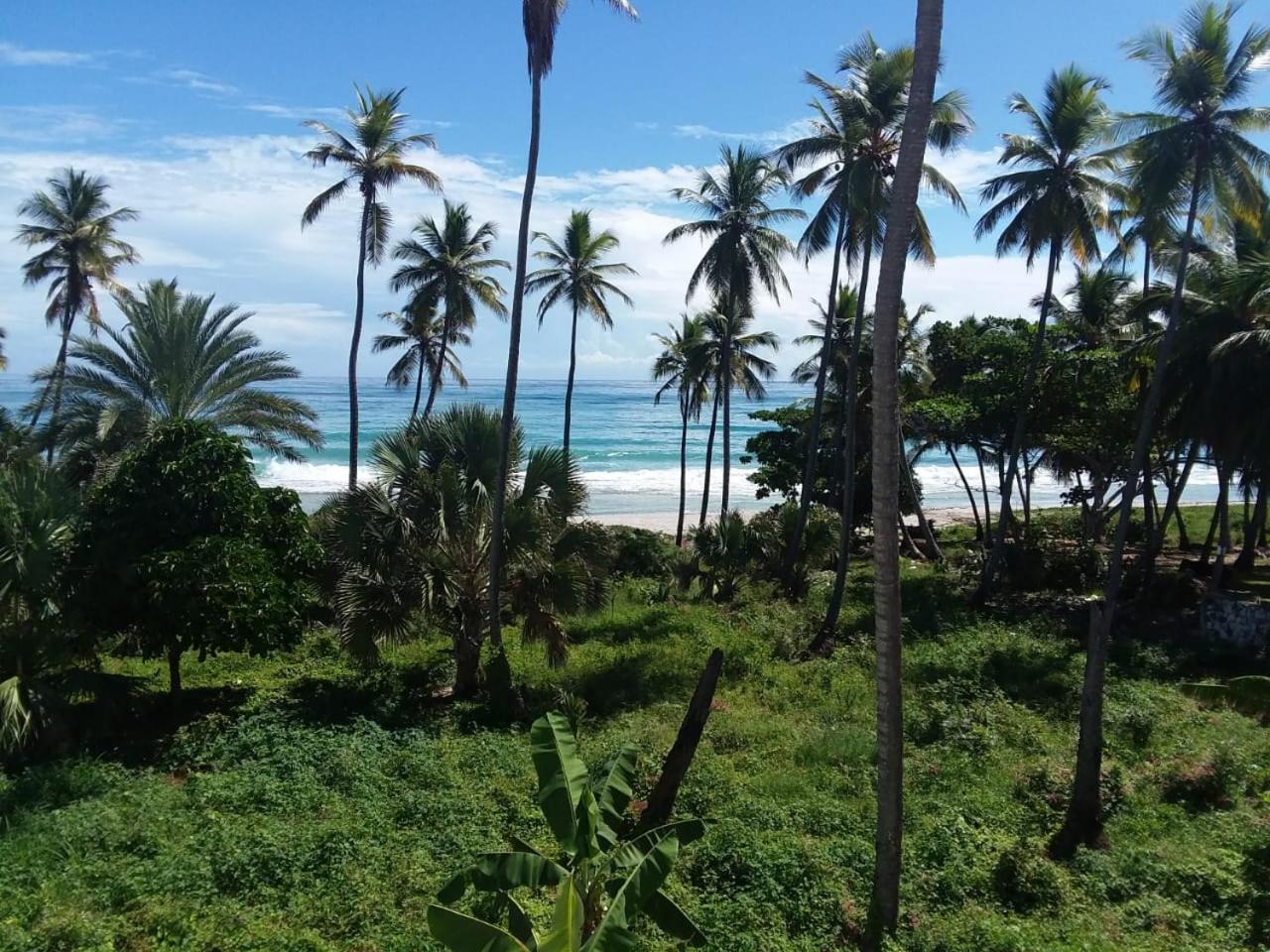 Oasi Encantada - Beach Resort Barahona 외부 사진