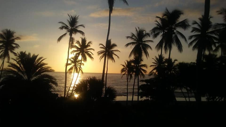 Oasi Encantada - Beach Resort Barahona 외부 사진